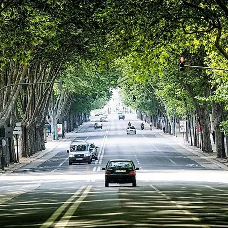 Charming To Rent Apartment *