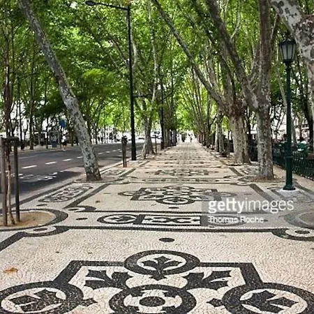 Apartment Charming To Rent