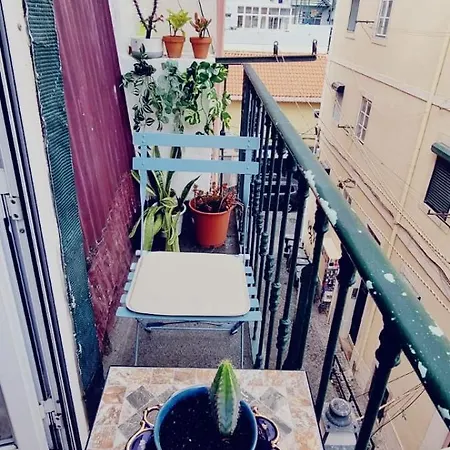 Charming To Rent Apartment