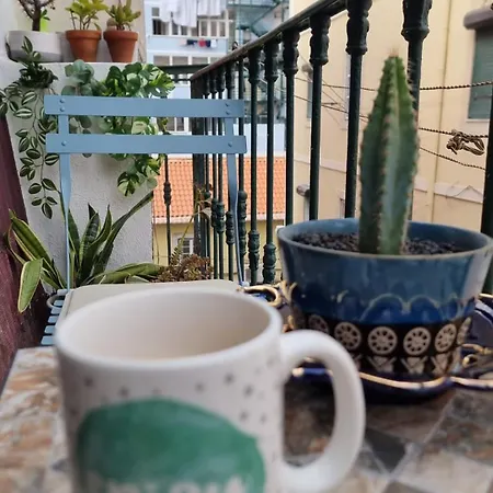 Charming To Rent Apartamento *