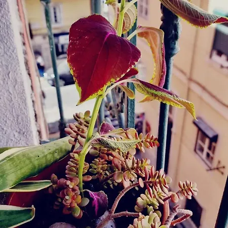 公寓 Charming To Rent